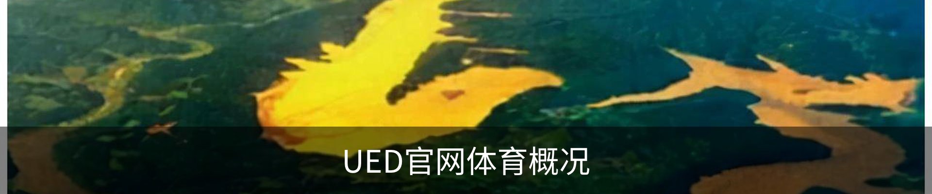 UED官网体育概况